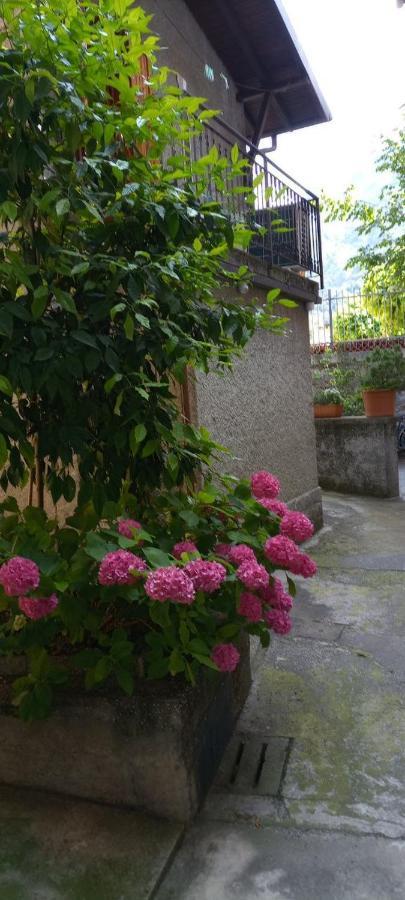 Oliveto Lario La Casetta Di Vassena מראה חיצוני תמונה